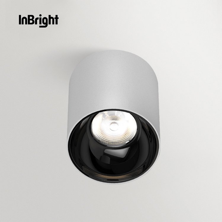 VASTE L02027 - CEILING SURFACE LIGHT