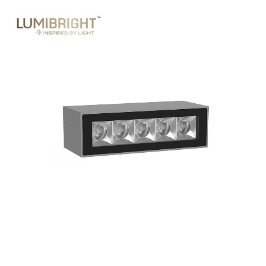 WERDER L02053 - CEILING SURFACE LIGHT