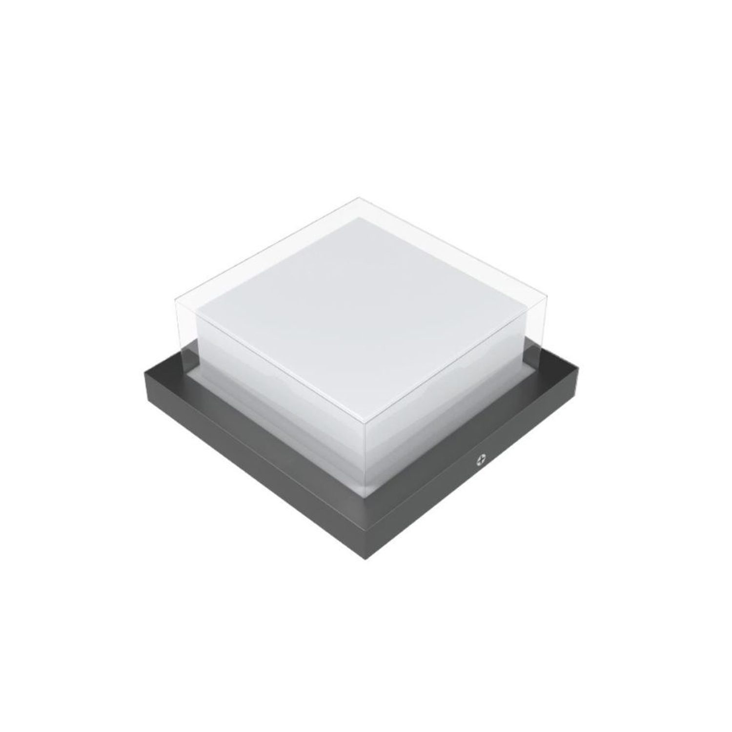 ALIUS R product view 2