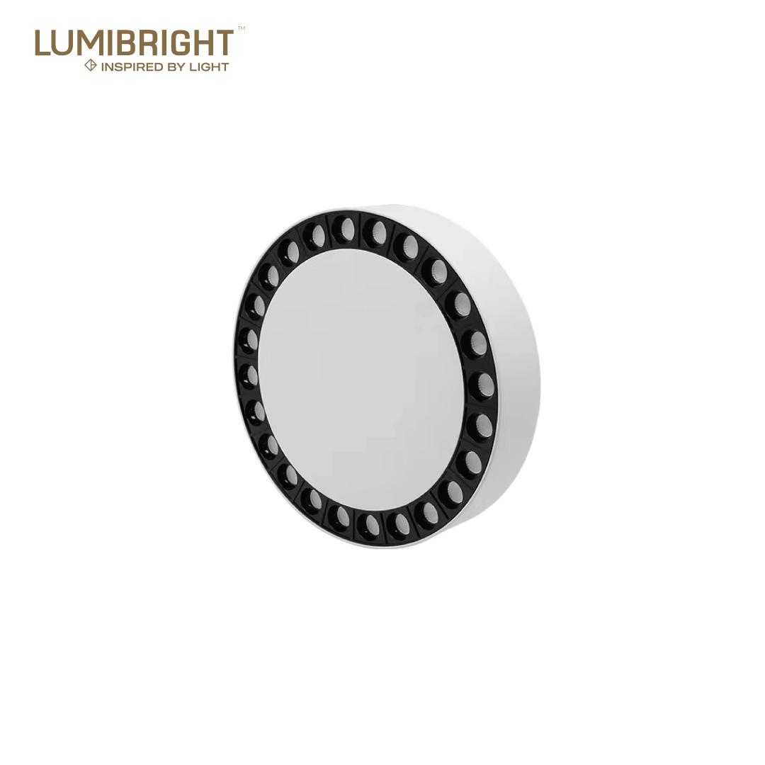 LB35019