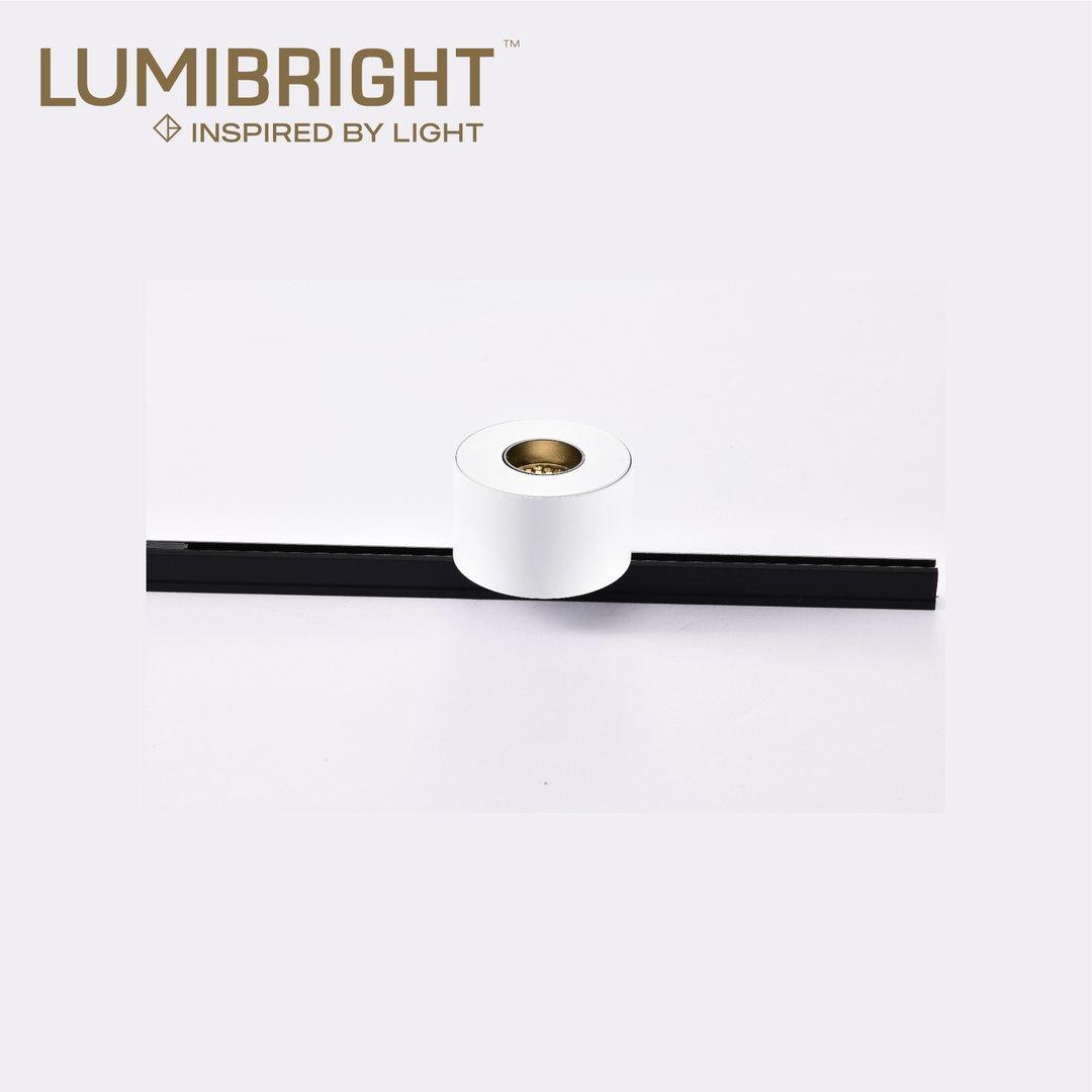 LBMG377