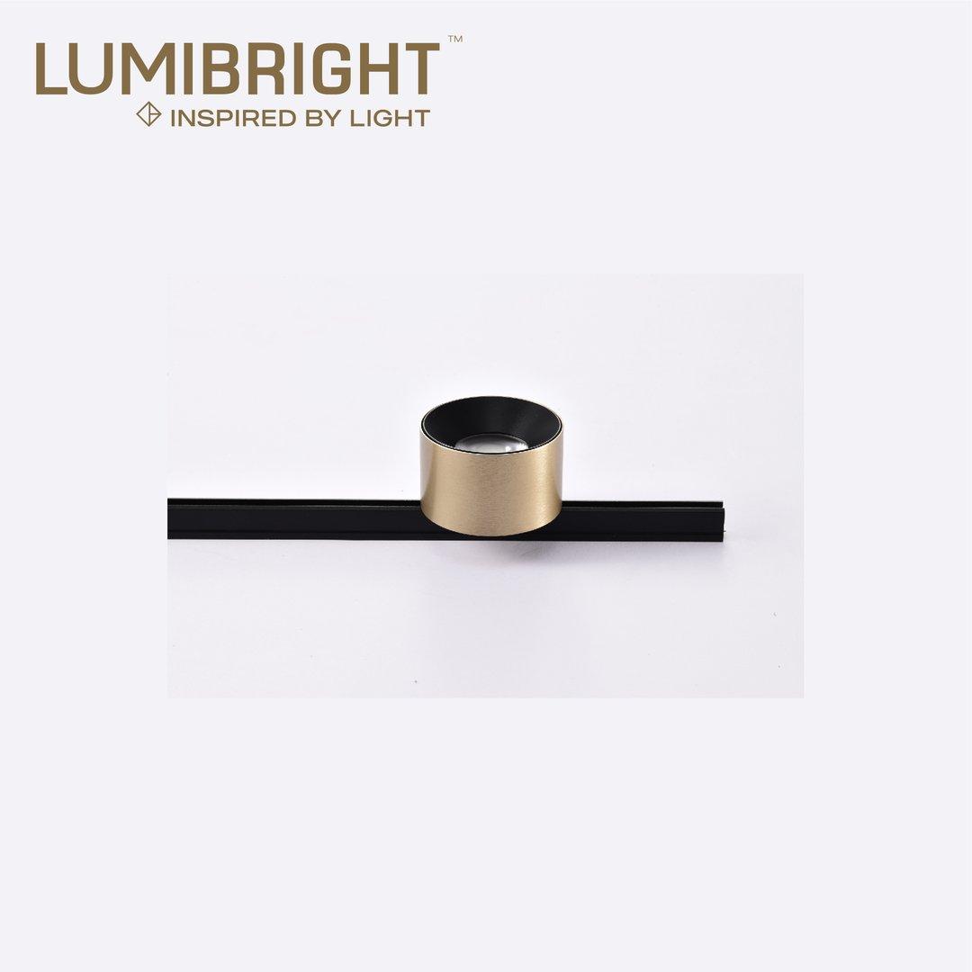 LBMG379