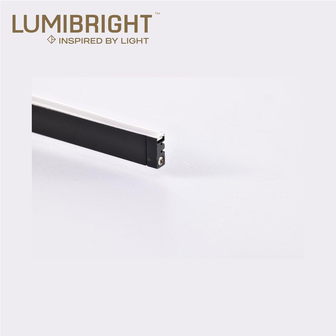 LBMG385