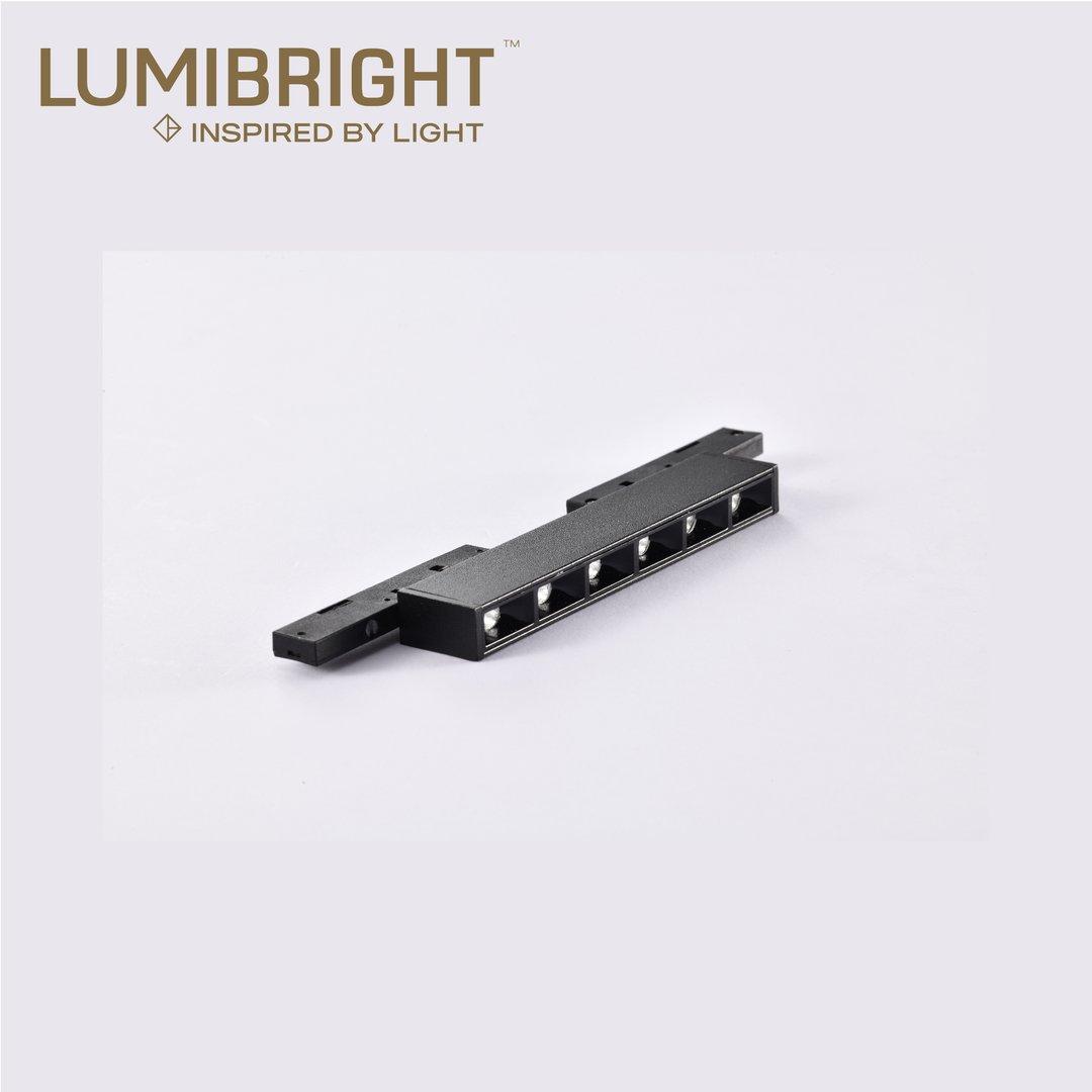 LBMG401