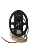 LF1181