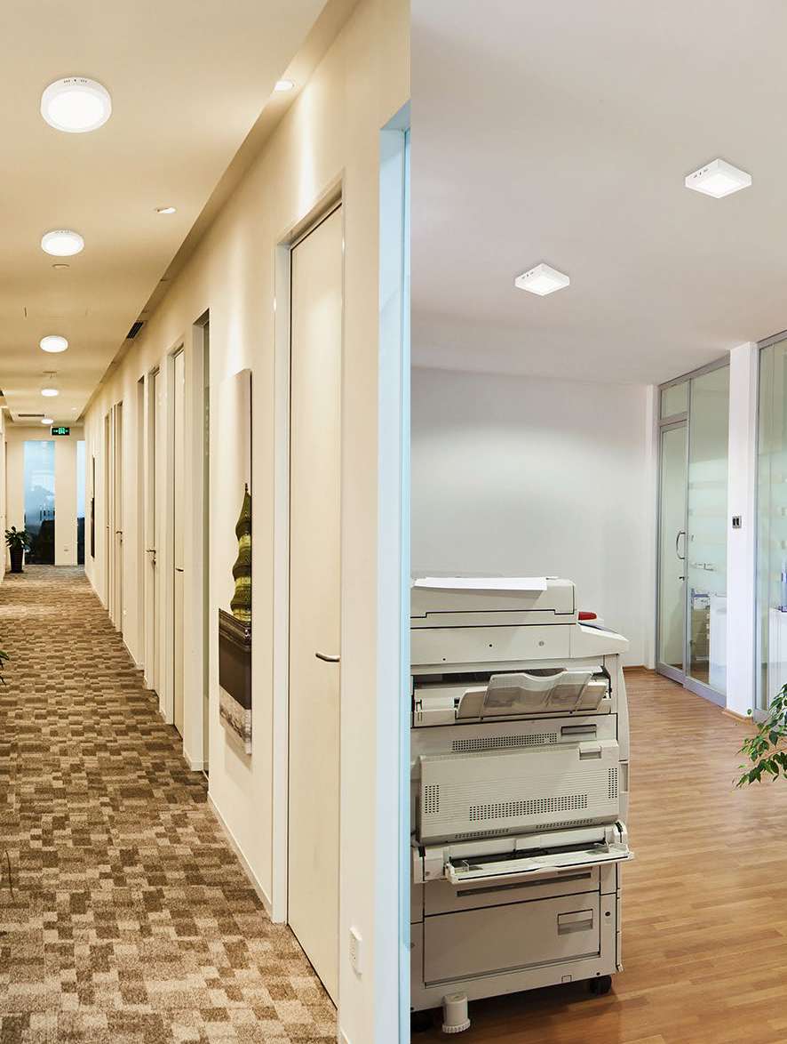 FILON L02006 - CEILING SURFACE LIGHT view 4