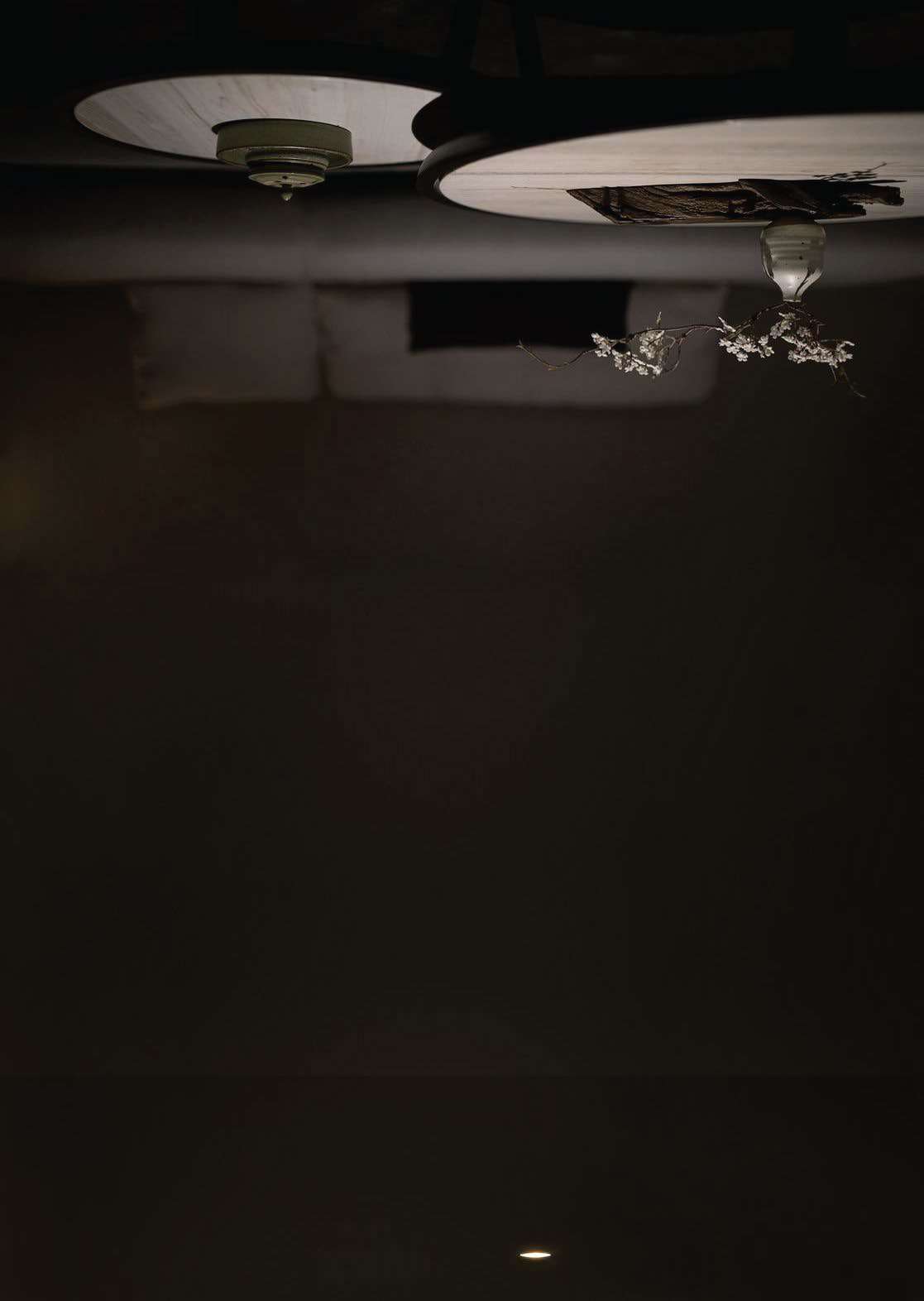 WERDER L01257 - SPOT LIGHT view 3